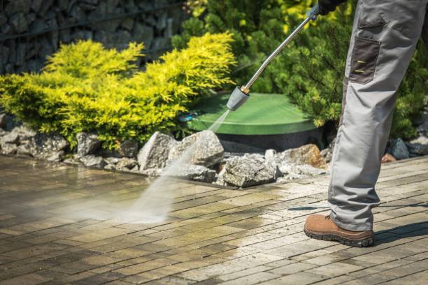 Best Warehouse Cleaning  in Sugarmill Woods, FL